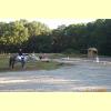 DCP_0058_thumb.jpg 2.3K