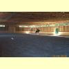 DCP_0066_thumb.jpg 2.1K