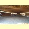 DCP_0082_thumb.jpg 2.3K