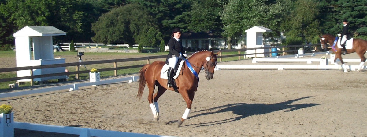 Rider on a chestnut horse in the outdoor arena