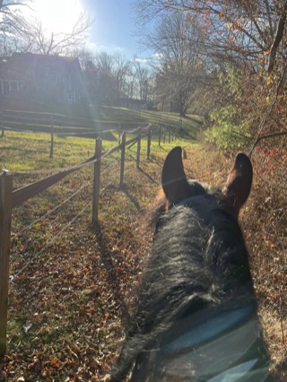 Looking between a horse's ears along a fenced path toward the house