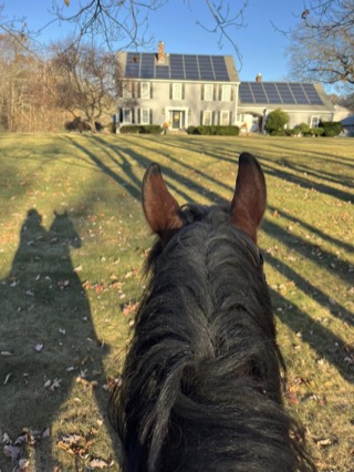 Looking between a horse's ears across the lawn to the house