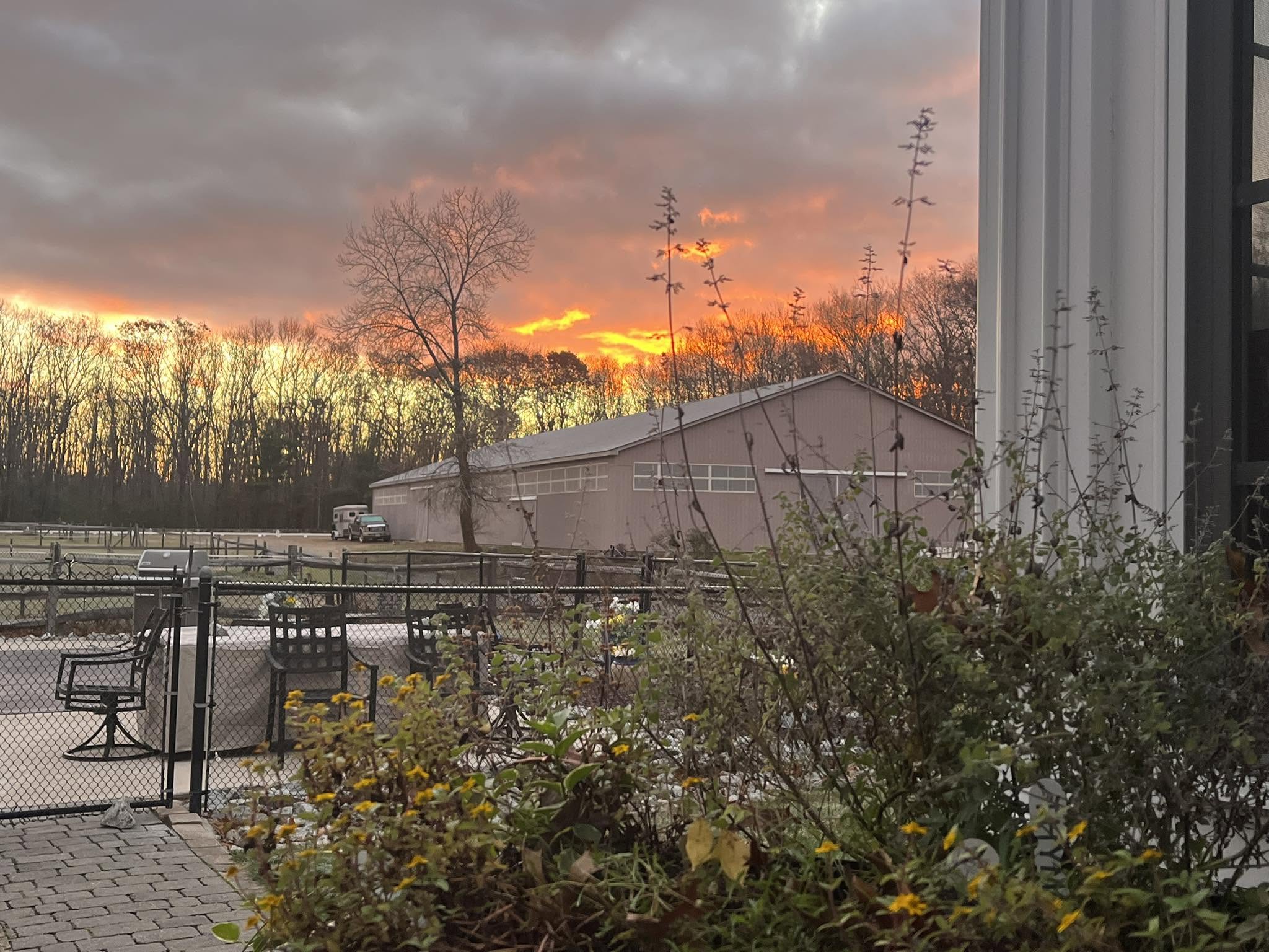 Orange sunrise behind the trees and the indoor arena, seen from the garden