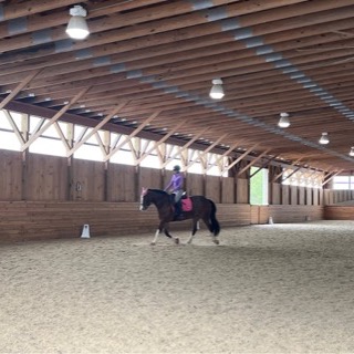 A rider in purple trotting a bay horse in the indoor arena
