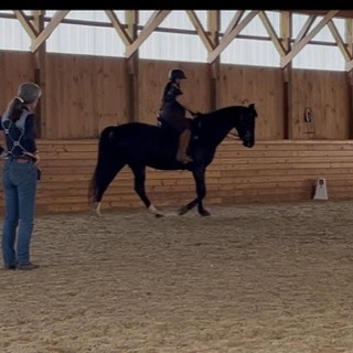 Felicitas watching a rider on a black horse in the indoor arena