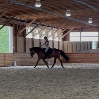 A rider trotting a bay horse in the indoor arena