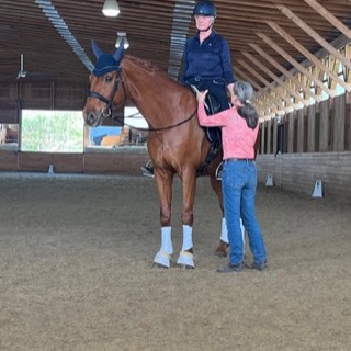 Felicitas beside a rider on a chestnut horse