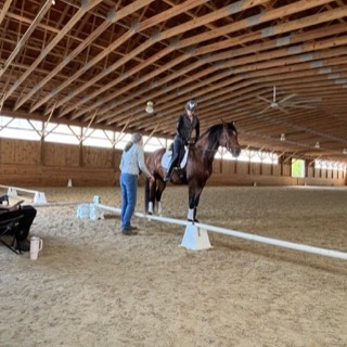 Felicitas working with a rider on a bay horse