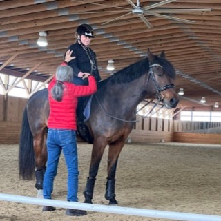Felicitas adjusting the position of a rider on a bay horse