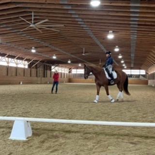 Felicitas watching a rider on a chestnut horse in the indoor arena