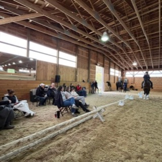 Auditors seated beside the ring as a rider comes down the arena