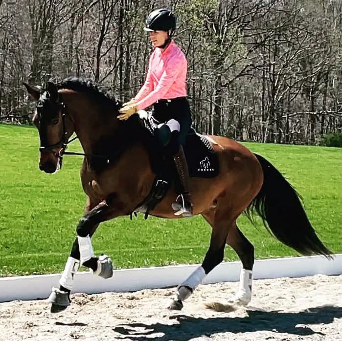 A rider in a pink jacket cantering a bay horse in the outdoor ring