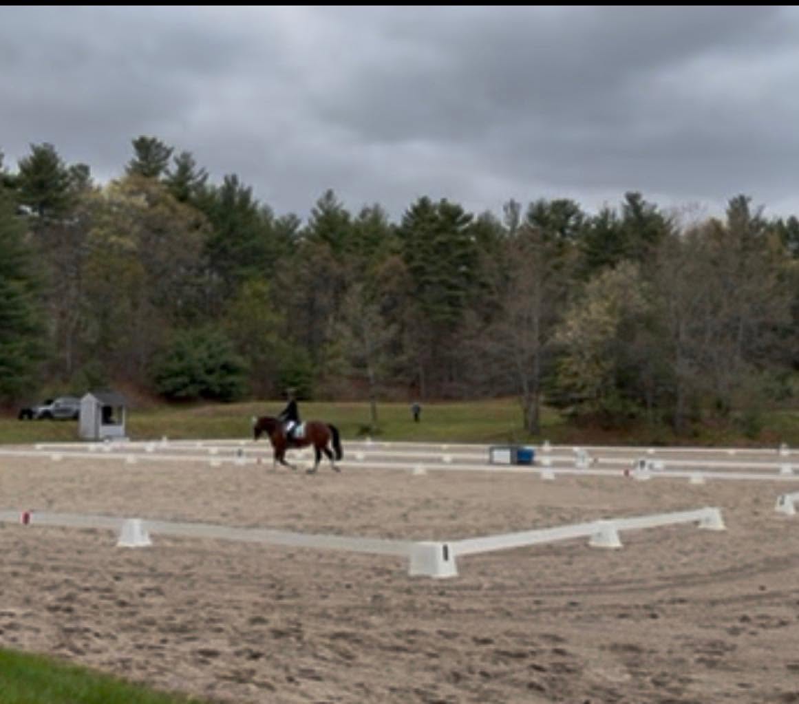 A rider on a bay horse in a dressage ring under gray skies