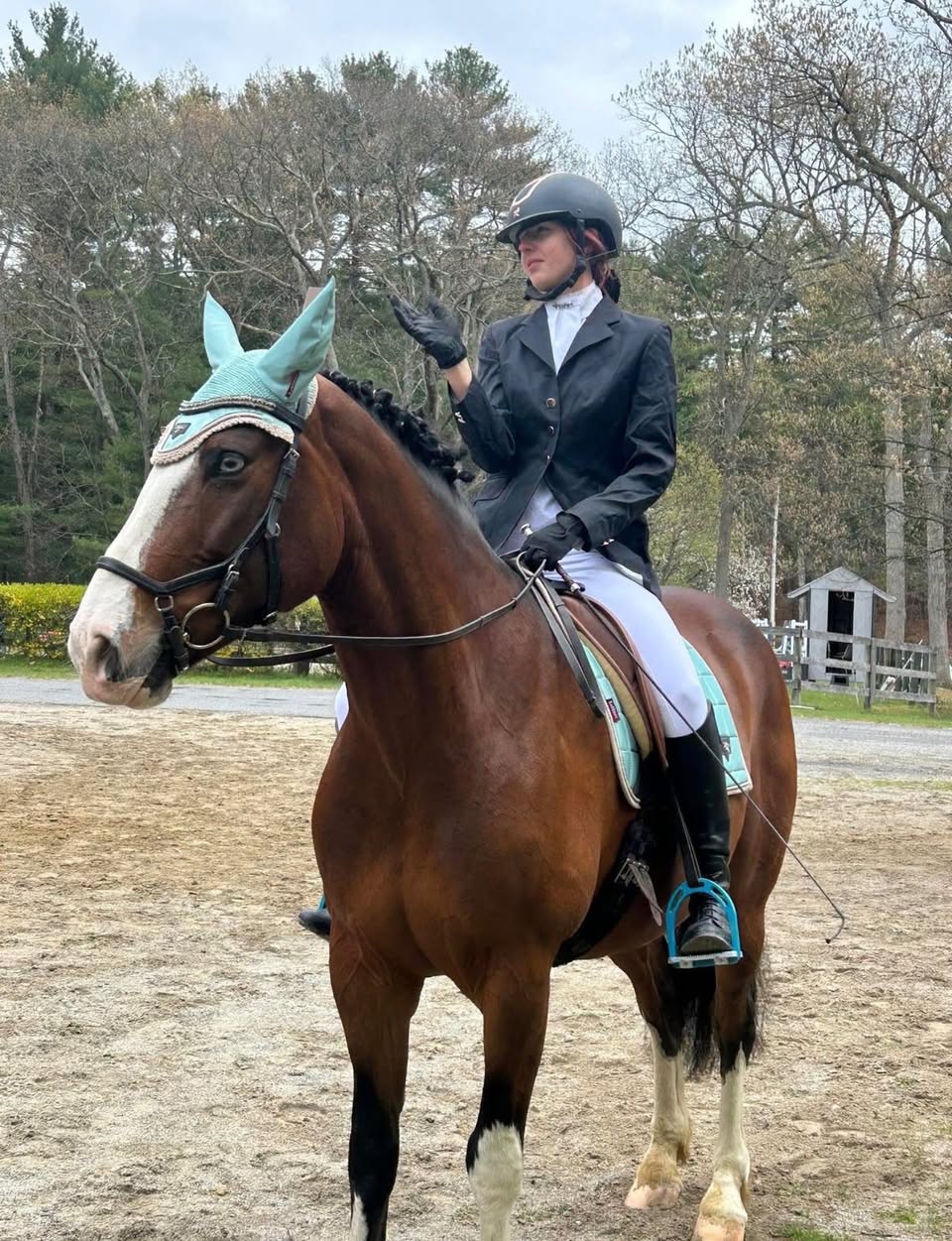 Jess in show clothes on Piper, a bay horse with a white blaze and a teal ear bonnet