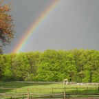 Our farm is a pot of gold