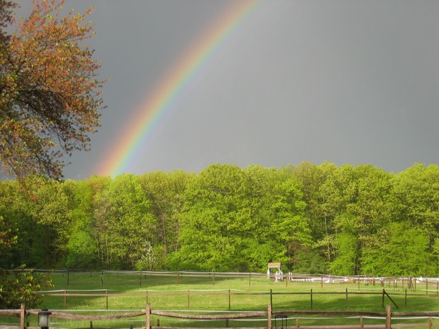 Our farm is a pot of gold